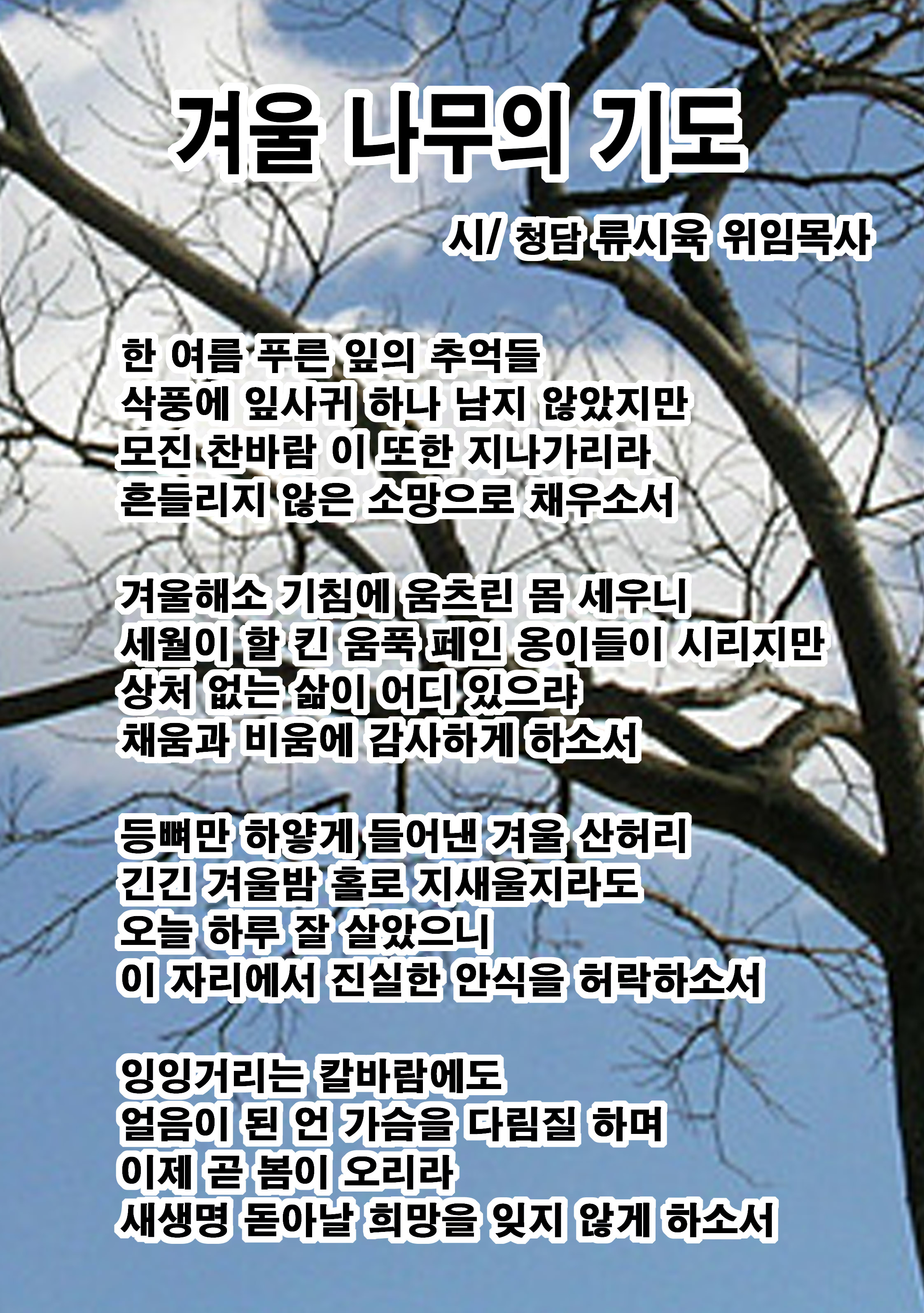 겨울나무의 기도-02.jpg